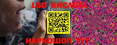 дмт Краснодар