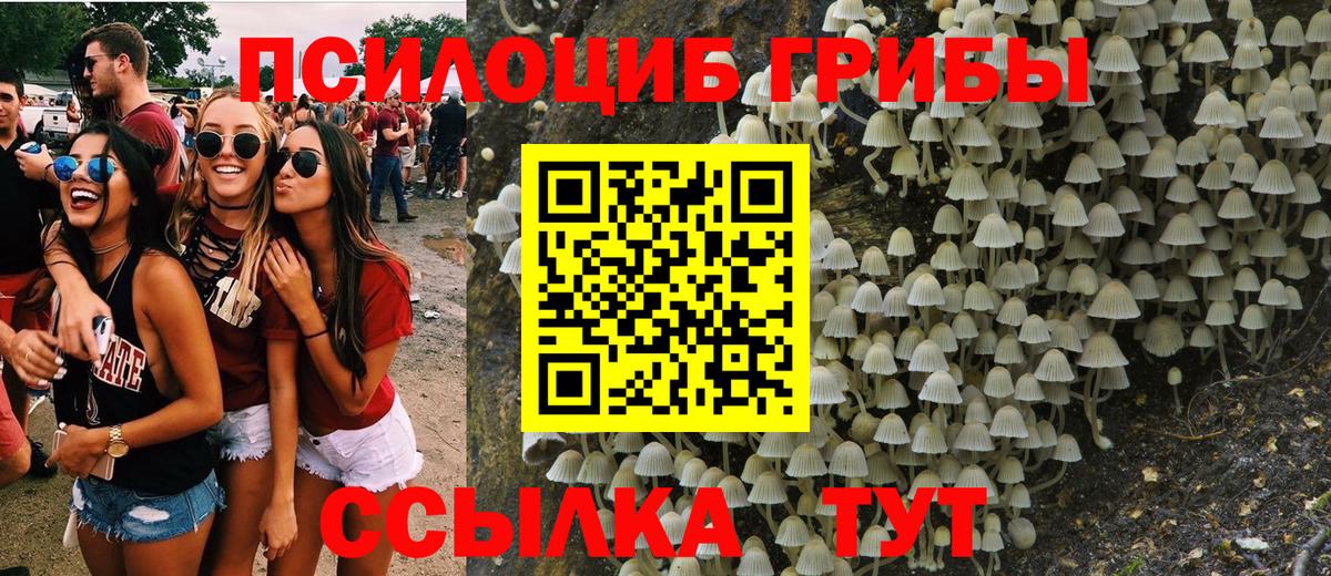 Галлюциногенные грибы MAGIC MUSHROOMS  что такое   Вход с VPN  Югорск  Галлюциногенные грибы мицелий 