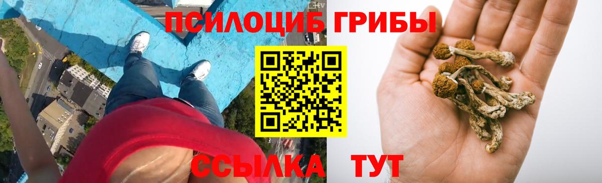 Псилоцибиновые грибы мухоморы Югорск